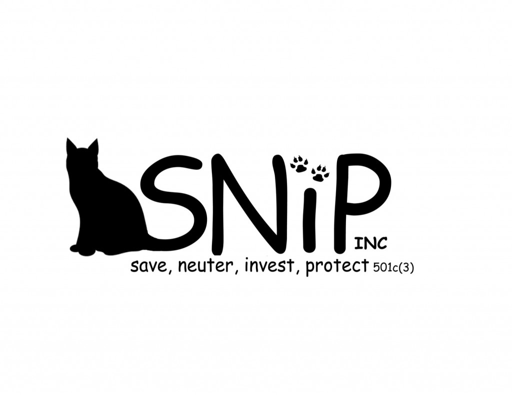 SNIP centered PDF1